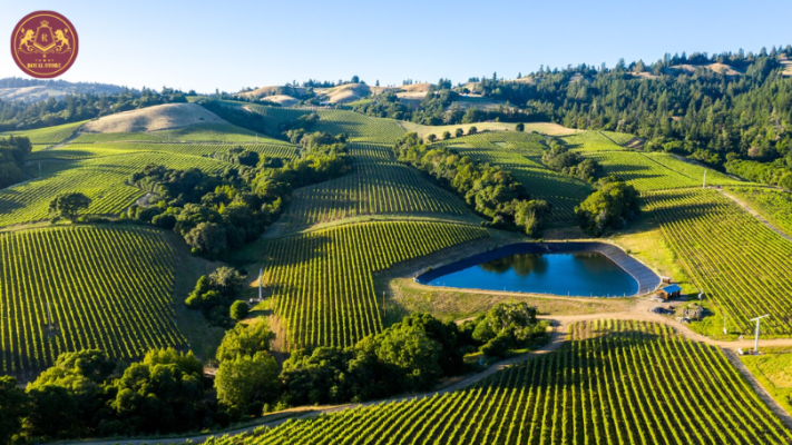 Napa Valley