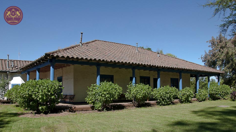 Rượu vang Chile Muelle Tortel Reserva De Familia