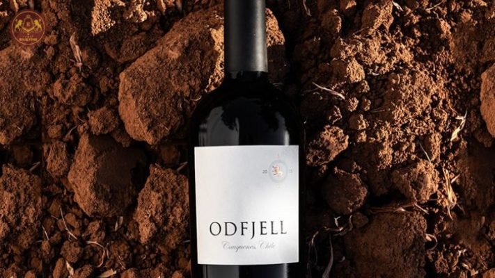 Rượu vang Chile Odfjell Icon