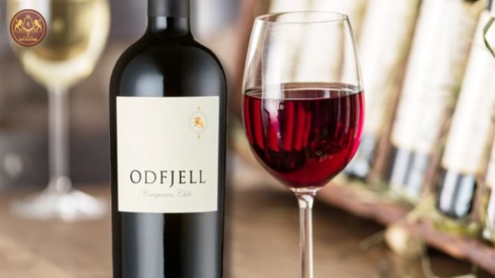 Hương thơm và mùi vị của rượu vang Odfjell Icon