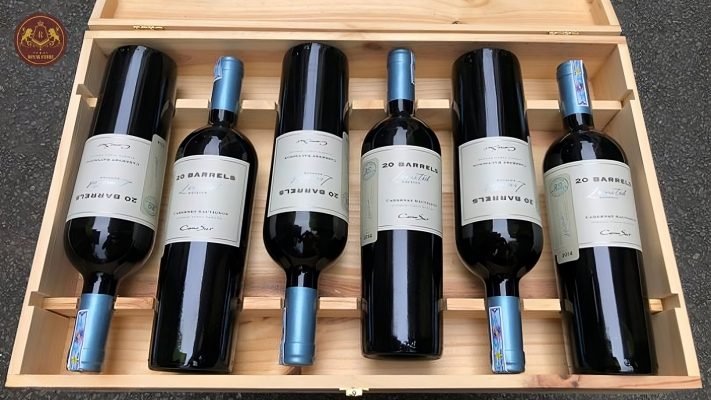 Rượu vang Chile Cono Sur 20 Barrels Carmenere