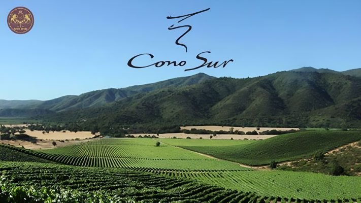 Cono Sur - Bước đột phá mới để tạo ra rượu vang Cono Sur 20 Barrels Carmenere