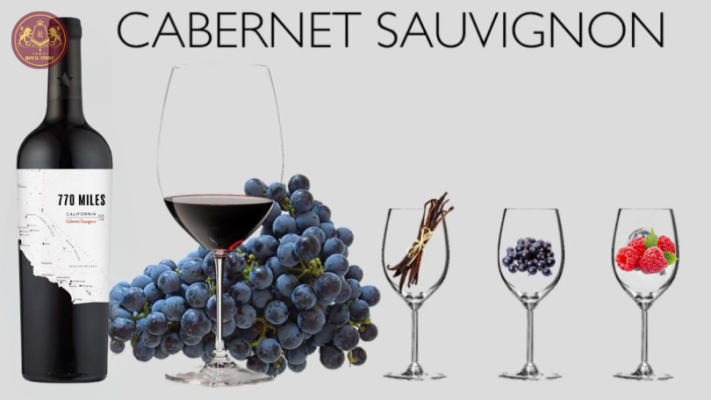 Giống nho Cabernet Sauvignon