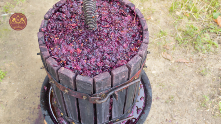 Mua rượu vang chất lượng, uy tín tại Royal Store