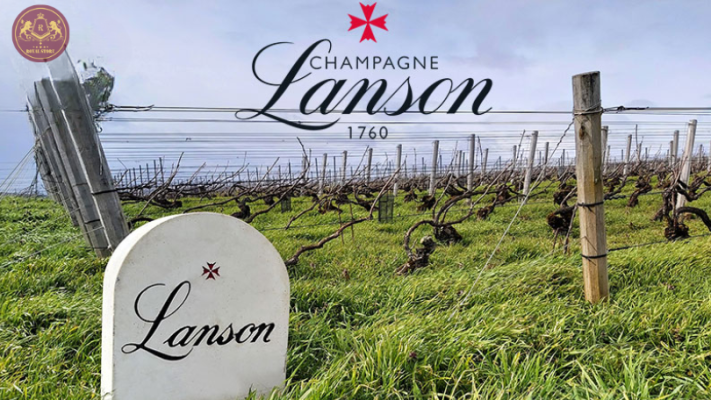 Nhà sản xuất Champagne Lanson