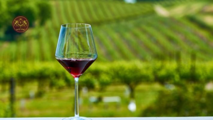 Màu đỏ tím đậm của rượu vang Castillo Campollano