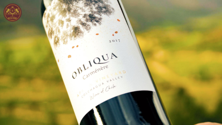 Mua rượu vang Obliqua Carmenere Apalta Vineyard tại Royal Store ngay hôm nay!