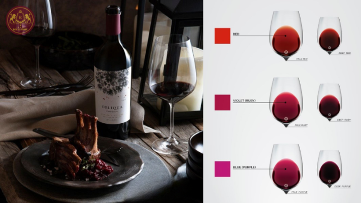 Sắc đỏ ánh tím của ly rượu vang Obliqua Carmenere Apalta Vineyard