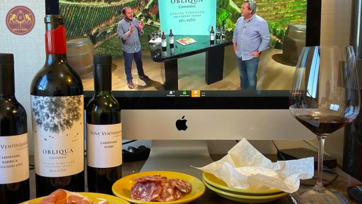 Rượu vang Obliqua Carmenere Apalta Vineyard kết hợp tuyệt vời với các món ăn