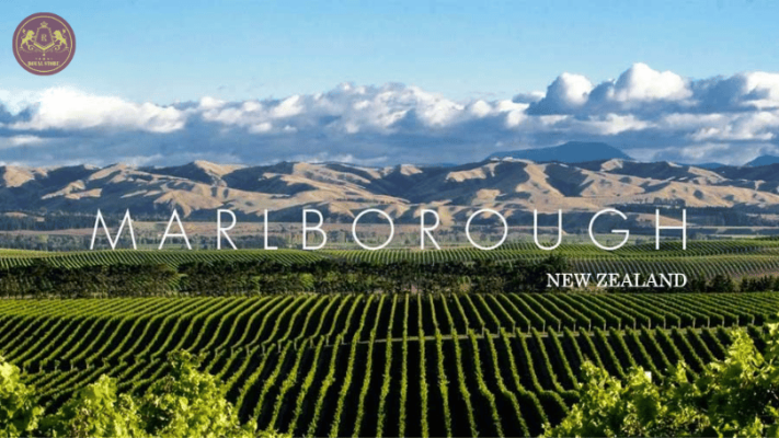 Marlborough - Thiên đường rượu vang