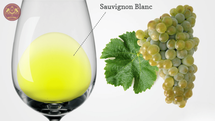 Giống nho Sauvignon Blanc