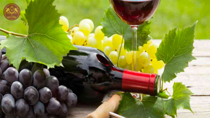 Giống nho Cabernet Sauvignon