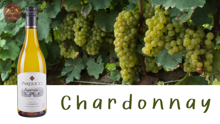 Giống nho Chardonnay