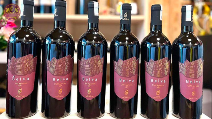 Rượu vang Belva Colli Aprutini