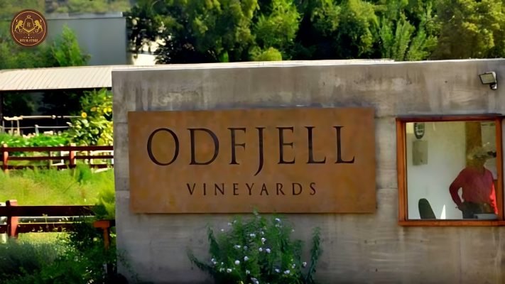 Nhà sản xuất rượu vang Odfjell Orzada Tannat đẳng cấp từ Maipo Valley, Chile