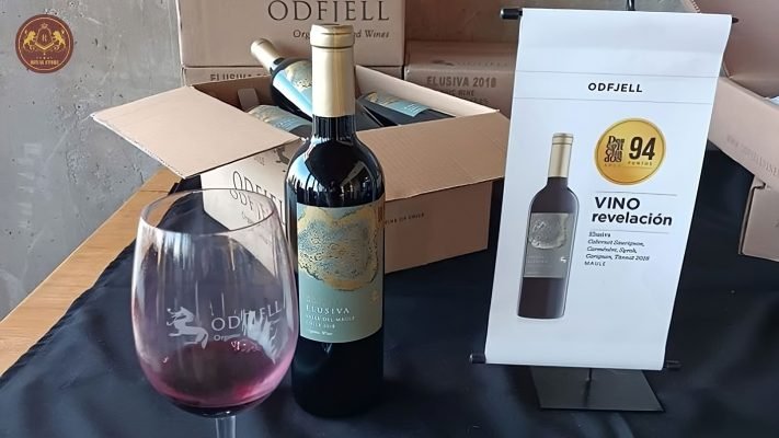 Rượu vang Chile Odfjell Elusiva